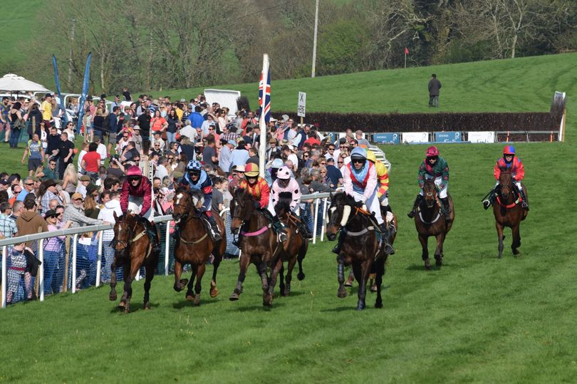 It's gotta be one of the most picturesque tracks in the whole of the UK! 🏇😍 Pointing in the park as horse racing returns to Flete this weekend 👉 devonlive.com/sport/other-sp… @PointingDC @Point2PointAuth @GoPointing @pointtopoint @pointingpodcast #Devon #gopointing #letsgoracing