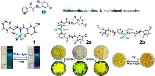 bhkenlo's tweet image. Conformation- and Coordination Mode-Dependent Stimuli-Responsive Salicylaldehyde Hydrazone Zn(II) Complexes pubs.acs.org/doi/10.1021/ac… Zheng and co-workers @InorgChem #zinc #salicylaldehyde #hydrazone #stimuli #conformations #coordination_modes #photochromism #ESIPT #machanochromism
