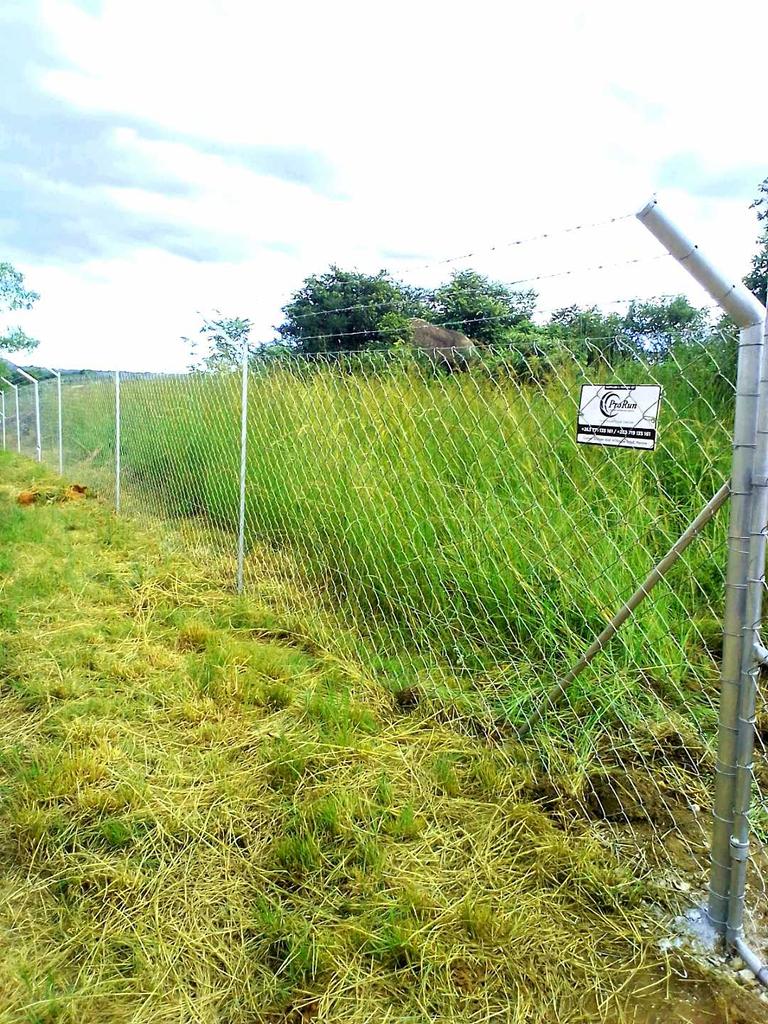 process_choto's tweet photo. @magic_wacho Contact ProRun Enterprises for a qoutation on 0771135161/0719135161
#Fencingservices
#Diamondmesh
#barbedwire
#fixandsupply https://t.co/N4PhnS9YVs