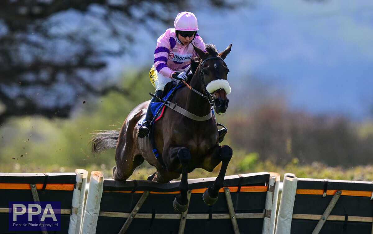 PPA Sports Content tweet media