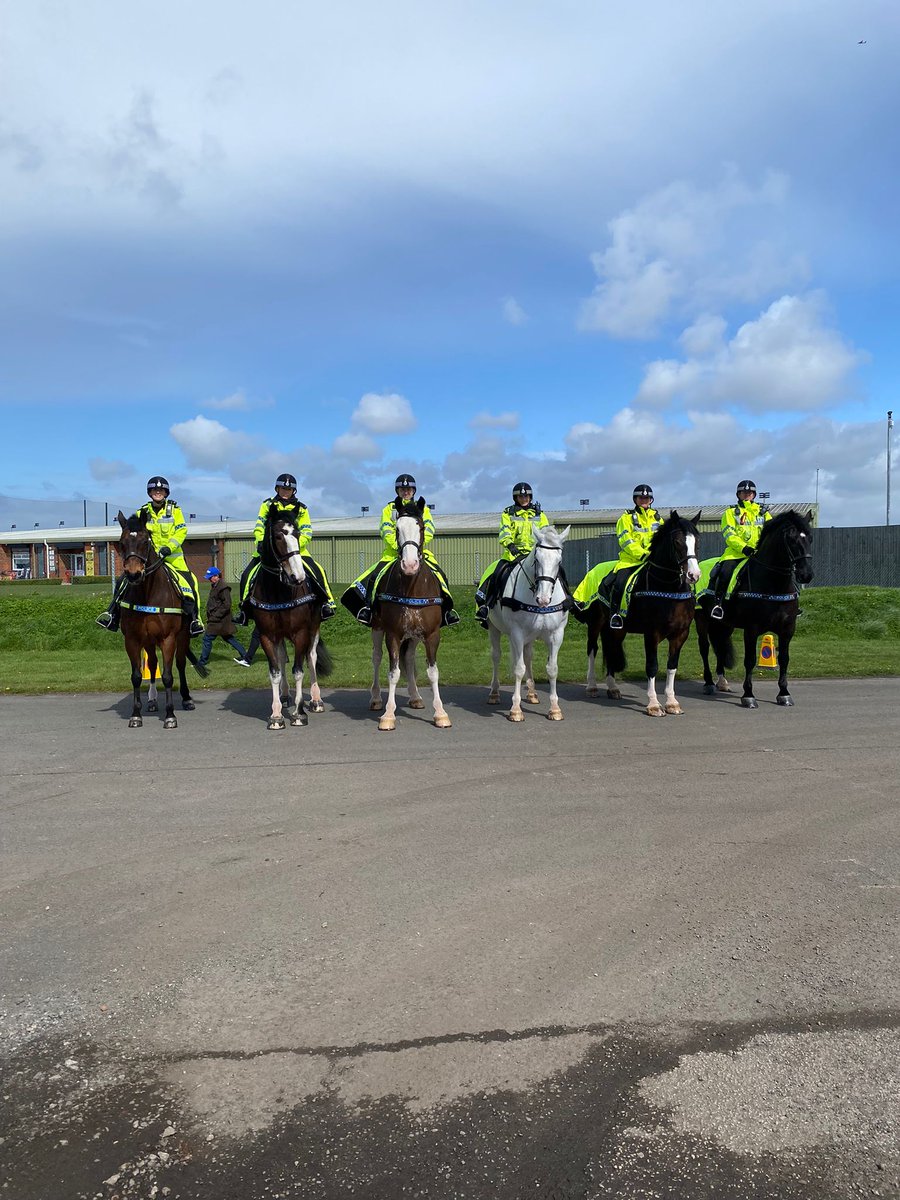 Our #MerPolSuperSix our & about on patrol around @AintreeRaces. 
It’s Owen’s first major event after only joining the department in September, But he is in good company with Jake, Arnie, Beau, Silver & Oxberry! 
#StandTall #PHJake #PHArnie #PHBeau #PHSilver #PHOwen #Aintree2023