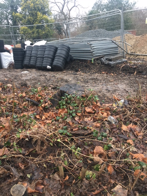lambeth_tree's tweet photo. [1/2] Just been told by a Lambeth officer that no replacement scheme exists for the already removed trees in Brockwell Park.
It was a planning condition for tree work!!!
@GreenPartyScott 
@RezinaChowdhury 
@EventBrockwell 
@BrockwellLido 
@BrockwellParkCP 
@BrockwellFriend https://t.co/0xQfPsCG9n
