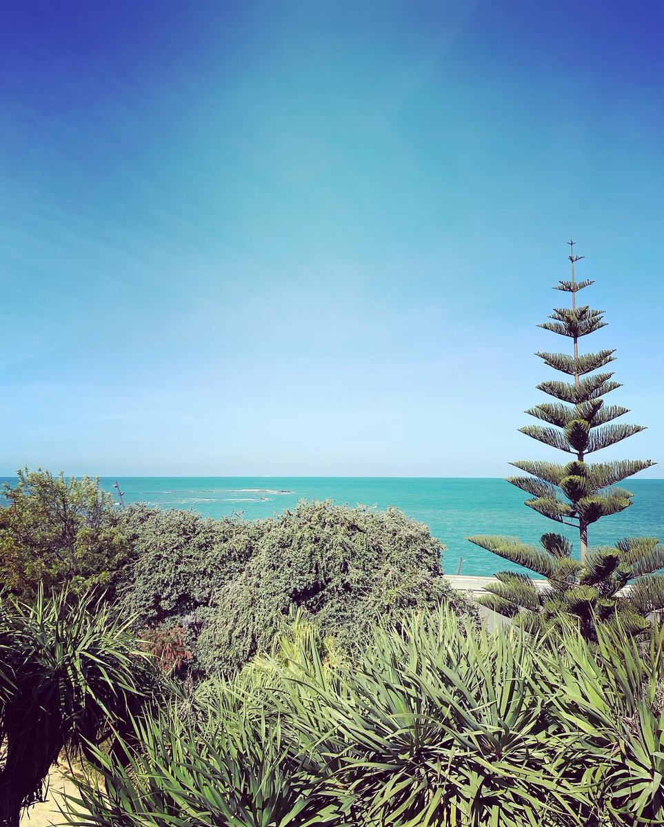 robinsoncruzsoe's tweet photo. Great stop on the way back in #Cadiz #Spain. Like the fact you can walk from the ship and you’re in town in 5 minutes, as the captain reverses the ship into town 🛳️🌺🏝️🏛️ @pandocruises #Arvia #Crusining https://t.co/7aFcgROECl