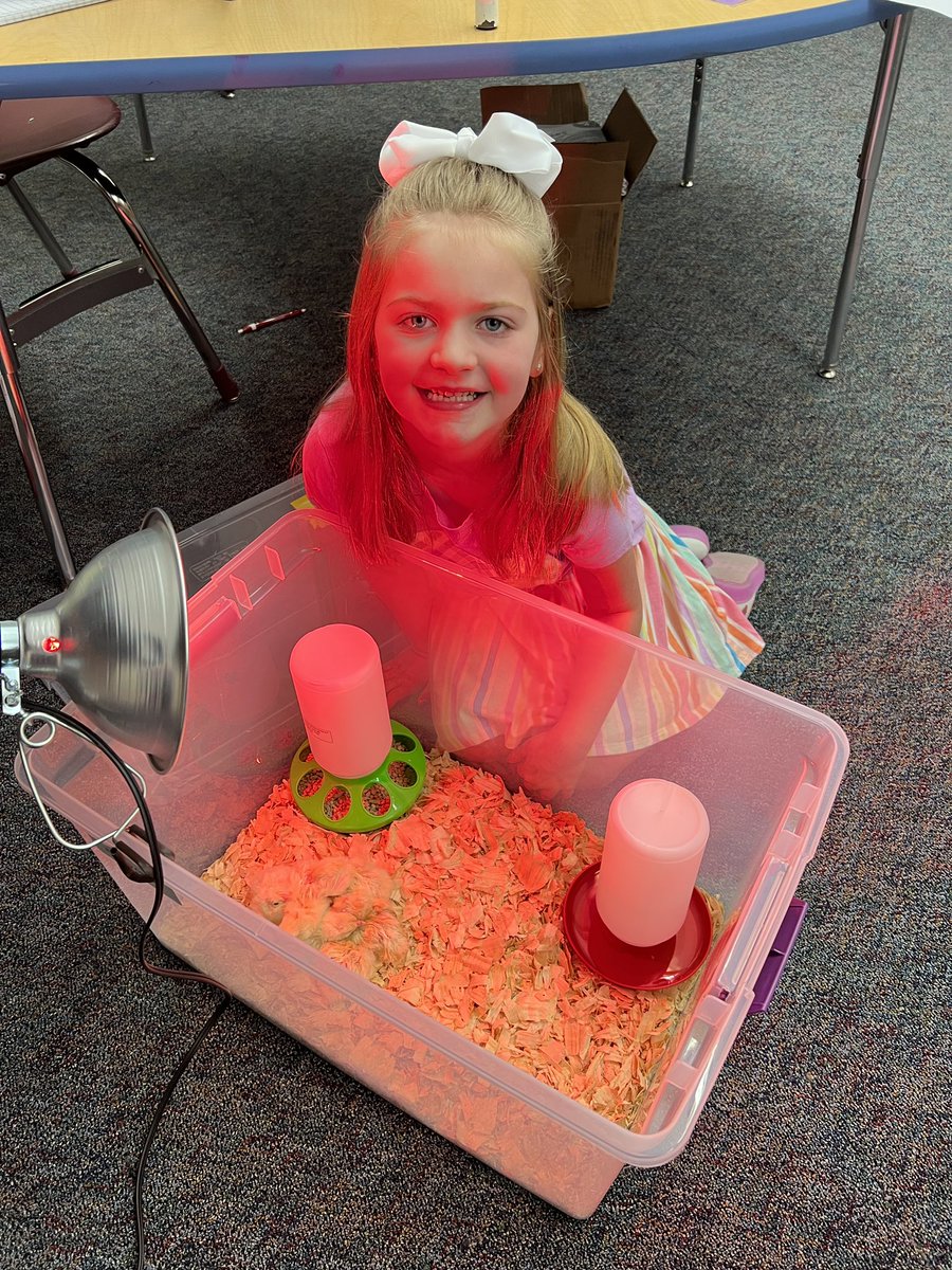 Carissa Clayton tweet media