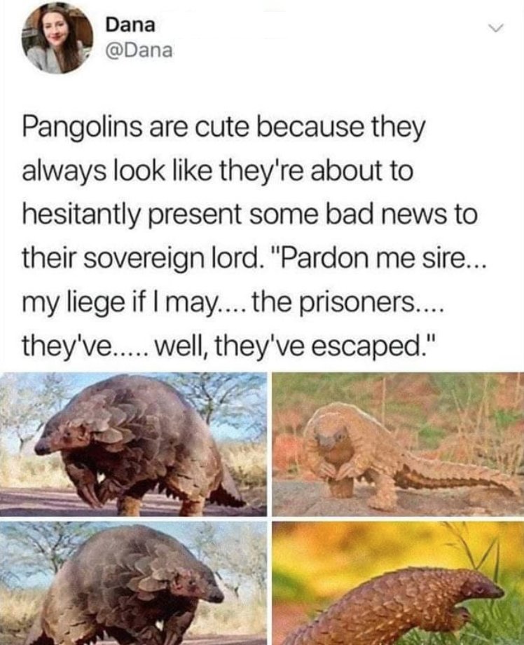 Original tweet by Dana @dana