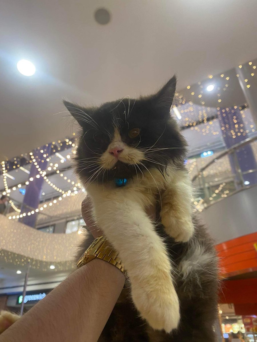 the resurrection enjoyer🐇 on Twitter "RT ewolamme this is my friends