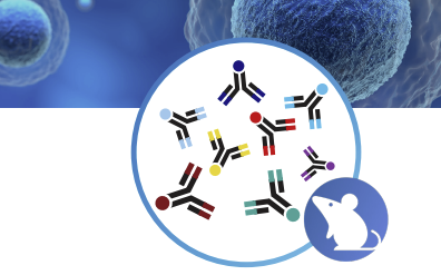 Standard_BioT's tweet image. Struggling to build and validate your own mouse profiling panel?
The Maxpar® OnDemand™ Mouse Immune Profiling Panel is an all-in-one kit containing everything you need to stain and acquire samples, including 33 curated #immuneprofiling #antibodies: standardbio.com/area-of-intere…