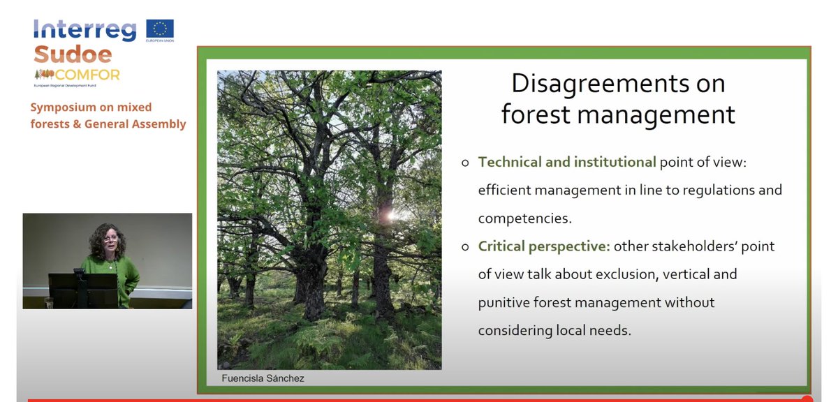 What is the social meaning of #forests? Fátima Cruz @UVa_es explains results from semi-structured interviews conducted within @COMFOR_SUDOE project. Check out the interesting different narratives, perceptions & disagreements on forest management from the research #complexforests