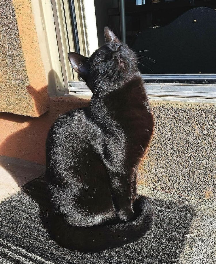 luuciatombillaa's tweet photo. yo cuando me da un rayito de sol https://t.co/iXKUuu6bsn