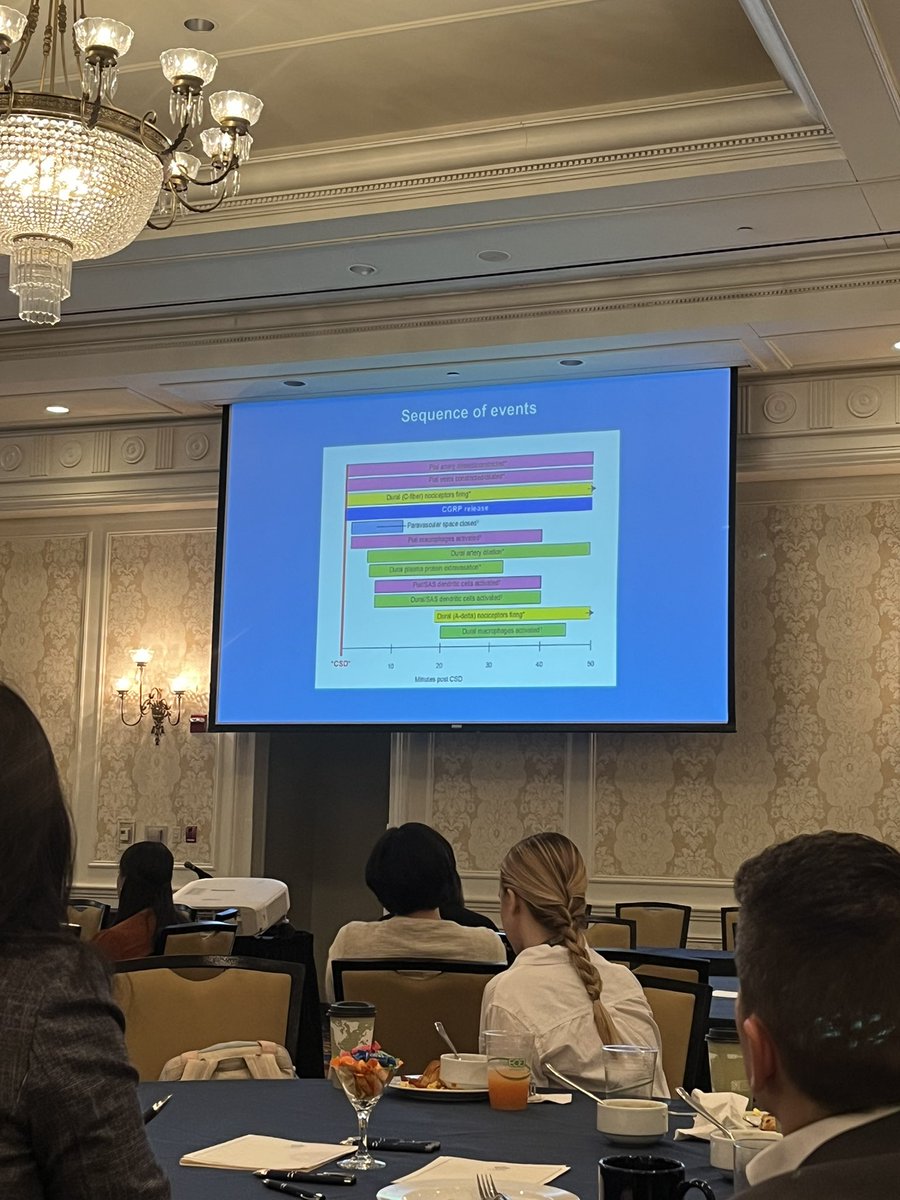 DrKatieMartucci's tweet image. 🤩Harvard&apos;s Dr. Rami Burstein presents compelling data on the pathophysiology of #migraine 🧠 to 100&apos;s of scientists, clinicians, and trainees at the #USASP2023 meeting.

@US_ASP @ramiburstein 
Hosted by @Duke_Anesthesia &apos;s Center for Translational Pain Medicine