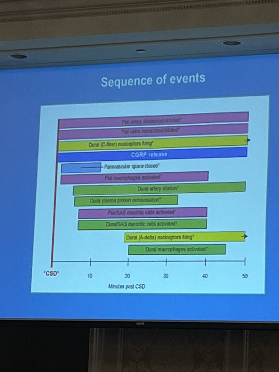 DrKatieMartucci's tweet image. 🤩Harvard&apos;s Dr. Rami Burstein presents compelling data on the pathophysiology of #migraine 🧠 to 100&apos;s of scientists, clinicians, and trainees at the #USASP2023 meeting.

@US_ASP @ramiburstein 
Hosted by @Duke_Anesthesia &apos;s Center for Translational Pain Medicine