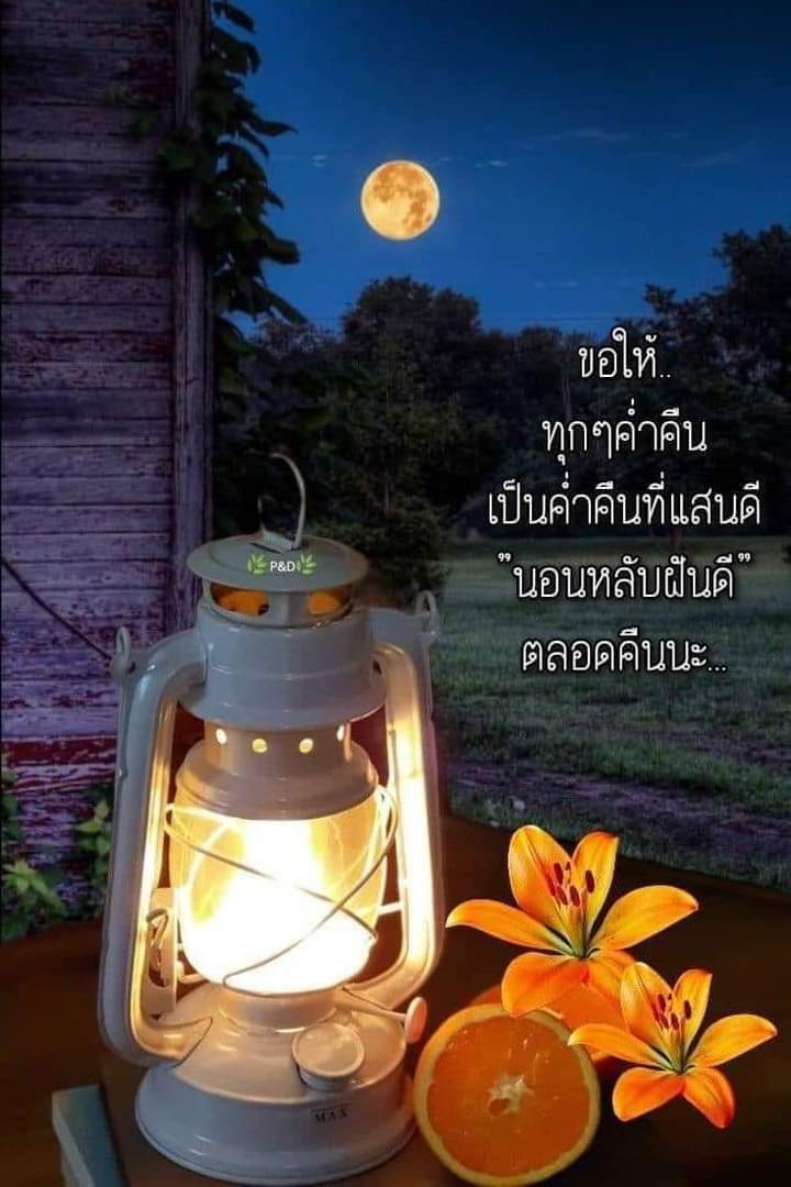 neeya51526643's tweet photo. คำพูดคนเราเป็นสิ่งสำคัญ
  เราจะพูดอย่างไรกับใครก็ได้
  พูดให้เขามีกำลังใจ
  พูดให้เขาหมดกำลังใจ
  พูดให้เขาลุกขึ้นสู้
  พูดให้เขาท้อแท้ปางตาย
  คำพูดคนเราสร้างอะไรได้หลายอย่าง
  หลายคนใช้มันสร้างบาป
  หลายคนใช้มันสร้างบุญ
  สุดท้ายแล้ว สิ่งที่เราทำ 
จะย้อนคืนมาสู่เรา 
ฝันดีค่ะ https://t.co/juRr8WwIoV
