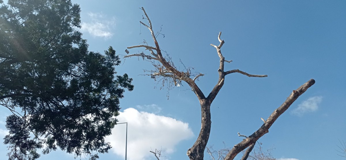 Absi (@azitpar) on Twitter photo 