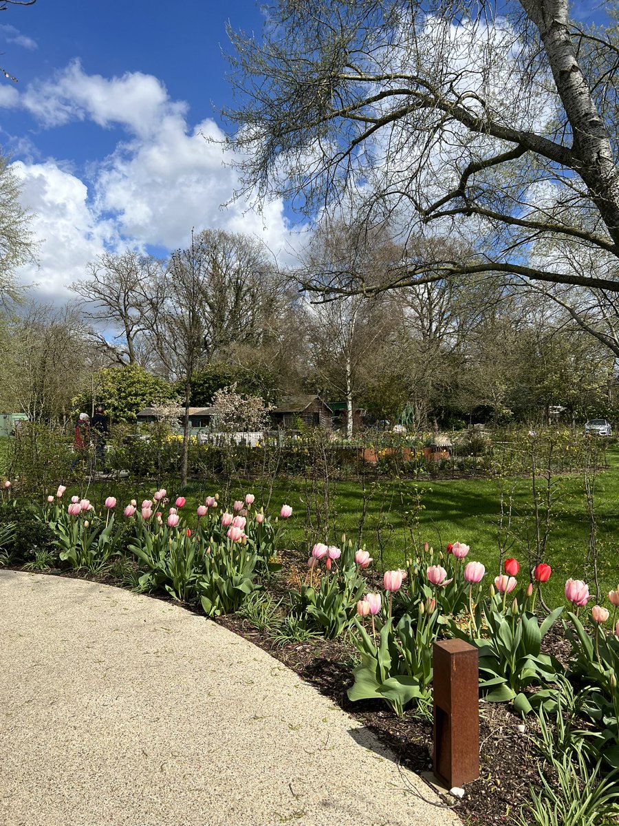 Cant beat a bit of #harefieldhospital #healinggardens in spring! Stunning place to ensure we take our breaks, get outside &amp; move! <a href="/RBandH/">Royal Brompton and Harefield</a> <a href="/GSTTnhs/">Guy's and St Thomas'</a>