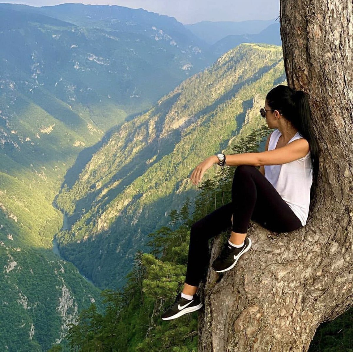 mneluxury's tweet image. Choose your adventure 🍀

✅ Grab ethno village and camp 🏕️ 

#Montenegro #campaing #river #tara #campus #wildbeauty #photography #adventure #vacation #ethnovillage