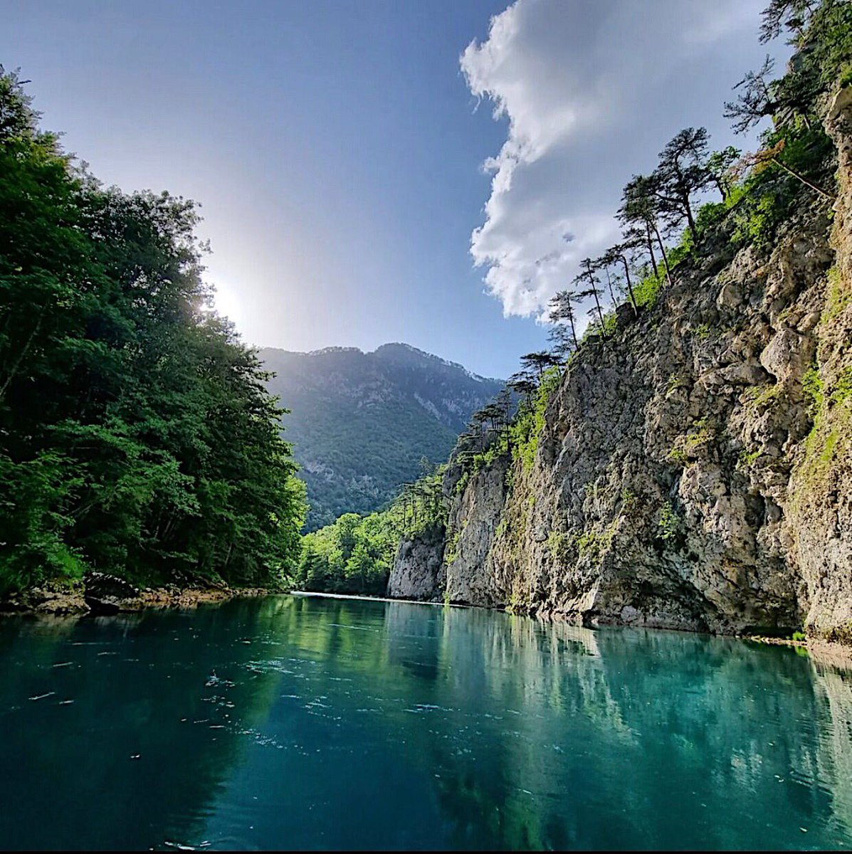 mneluxury's tweet image. Choose your adventure 🍀

✅ Grab ethno village and camp 🏕️ 

#Montenegro #campaing #river #tara #campus #wildbeauty #photography #adventure #vacation #ethnovillage