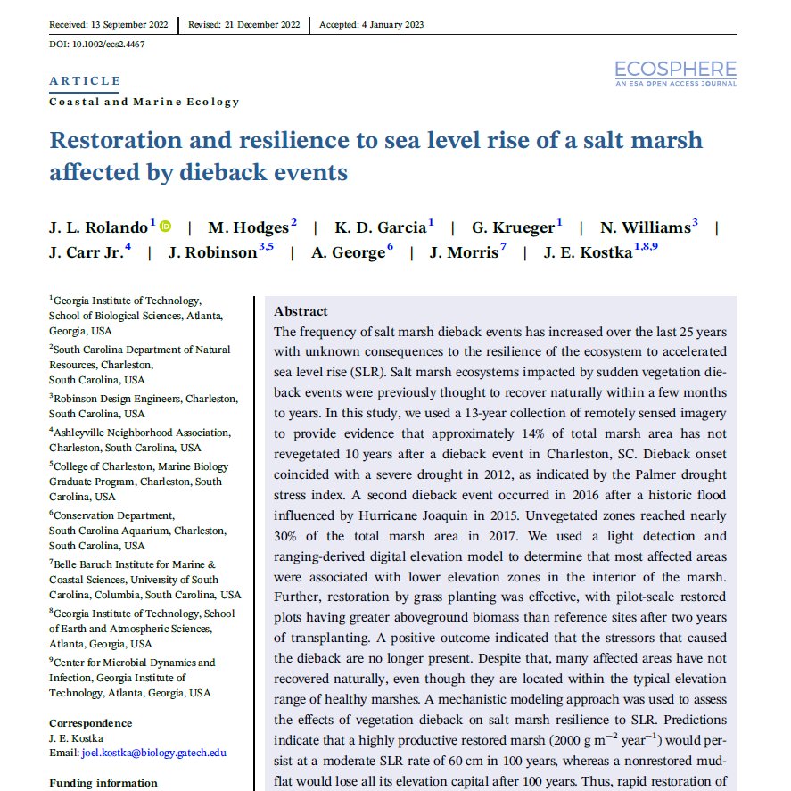 Jose Luis Rolando tweet media