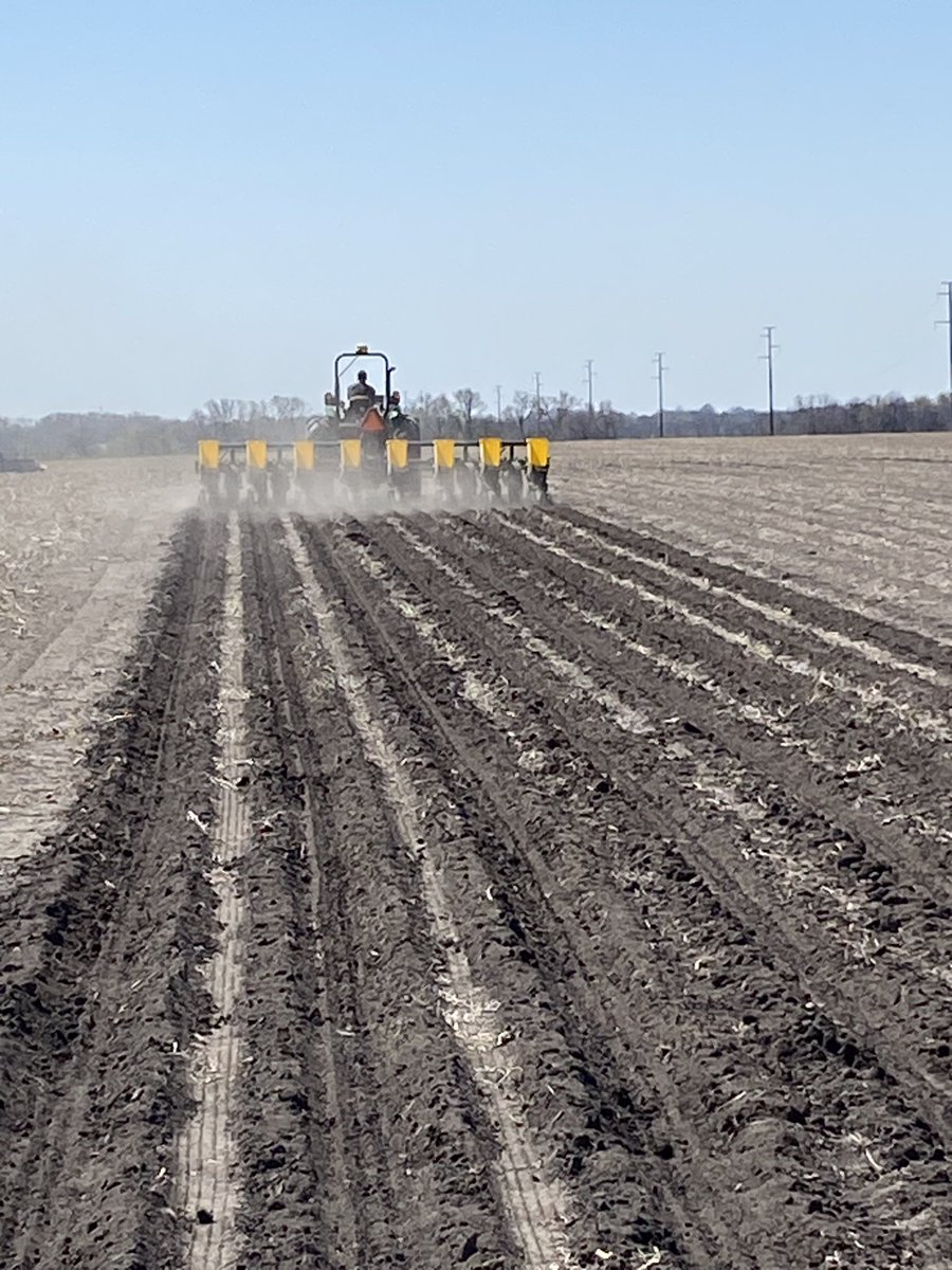 SCKSeedman's tweet photo. Two Corn plots near Hillsboro, KS. Thank you @JjVoth @AgServiceInc2. Moisture was deep but I think the seed went in well. Some of the driest planting conditions I’ve seen. It’s gotta rain sometime!!!! #plant23 #NKSeed #NKCorn #PlantNK23 https://t.co/d1GrDo2jnu