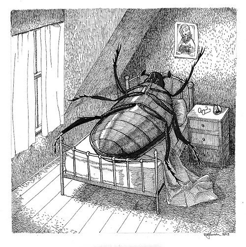 edgycumsumer's tweet photo. Boys                                        Girls
During                                     During 
Metamorphosis                  Metamorphosis https://t.co/0NQ550rbCu