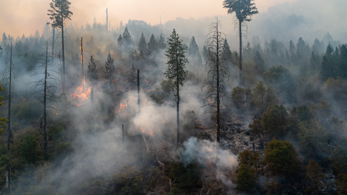 UNEP-WCMC tweet media