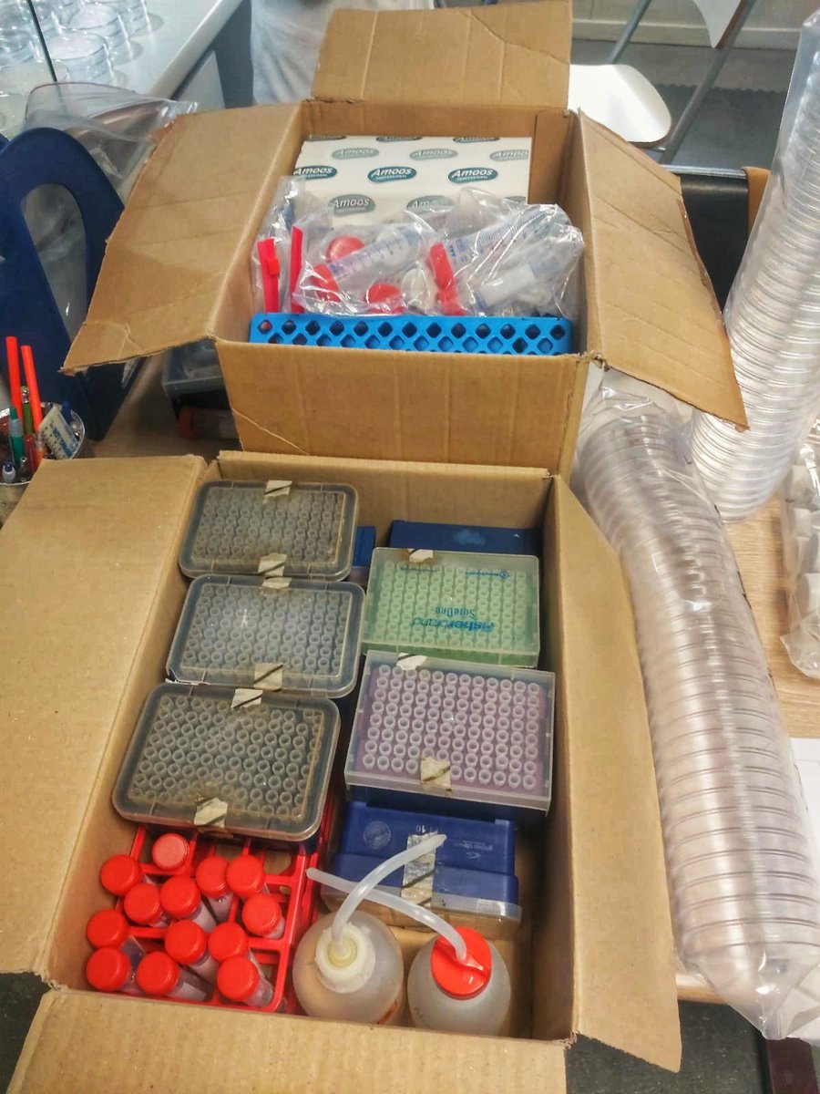 MicroMundo_IUCS's tweet image. Micritas 🤝 Get the work done
Preparation of kits for Micromundo 🌍 for the second session on 04/13/2023 .🔬