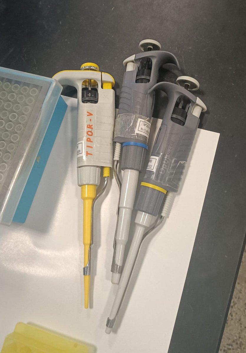 MicroMundo_IUCS's tweet image. Micritas 🤝 Get the work done
Preparation of kits for Micromundo 🌍 for the second session on 04/13/2023 .🔬