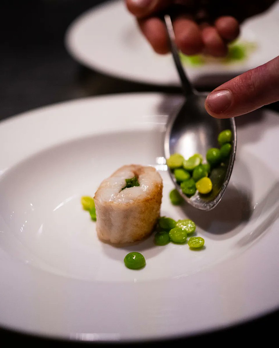 The perfect spring dish is in the details 🟢 Chef Matt carefully plates our 'Llenguado' Dover Sole dish with peas, spring garlic, smoked bone broth, and a shower of house-cured roe shavings that deepen the complexity of flavors in this seasonal standout. xiquetdl.com