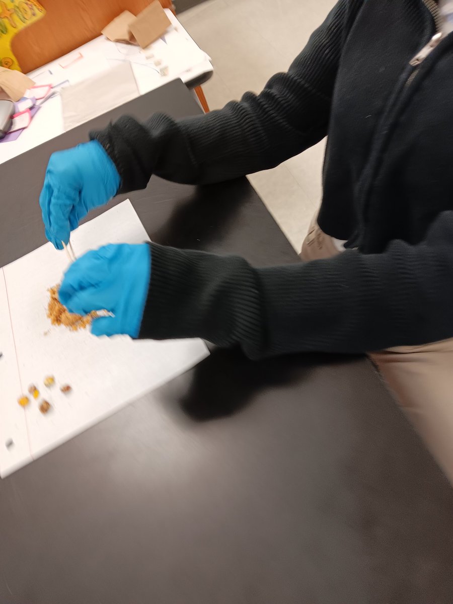 Ms. L. Dillard HISD (@mshisd) on Twitter photo 5.9D I will identify fossils as evidence of past living. Review with Cookie practice. π <a href="/CMartinez_HISD/">Clemente Martinez Elementary School</a> @HISD_ElemSci <a href="/_MsCooper_/">Danica Cooper</a> 5.9D I will identify fossils as evidence of past living. Review with Cookie practice. π <a href="/CMartinez_HISD/">Clemente Martinez Elementary School</a> @HISD_ElemSci <a href="/_MsCooper_/">Danica Cooper</a>