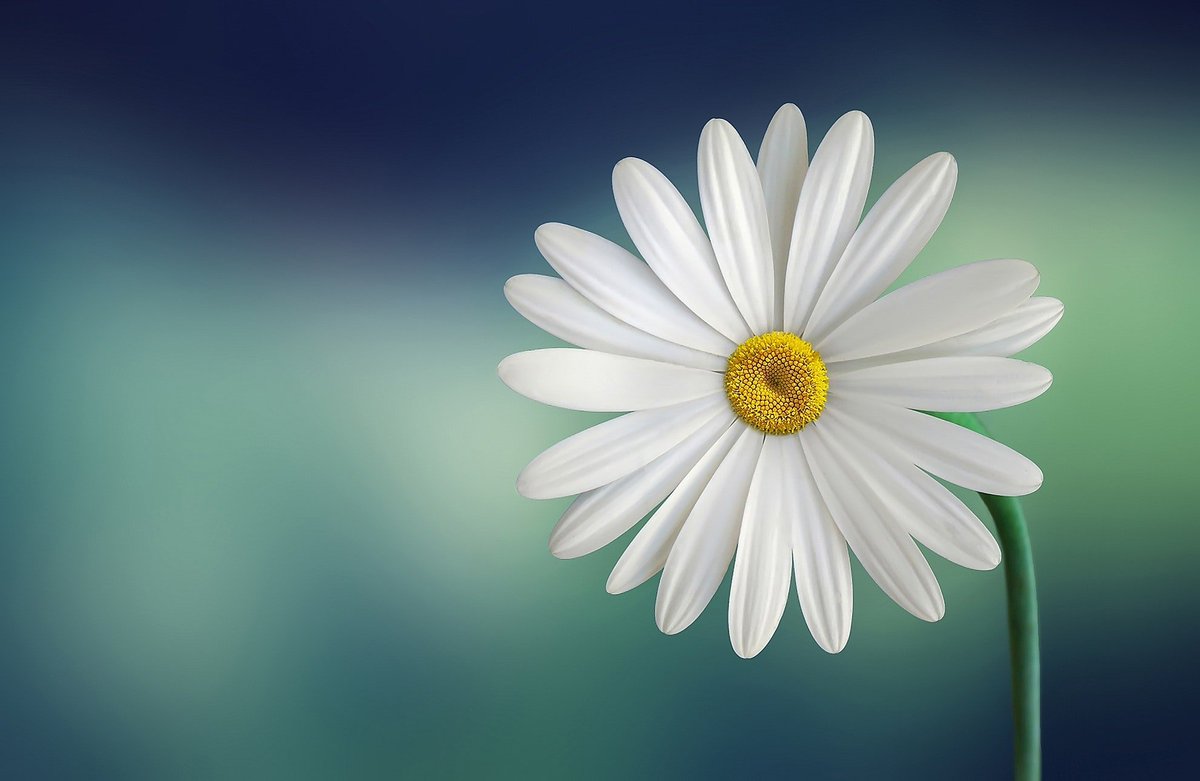 People think, “I know God can heal me but will He heal me?” The Lord’s intent is for us to be healed and whole. Jesus’ finished work at the Cross accomplished and secured this for us. #Faith

sandrakennedy.org/healing-made-s…