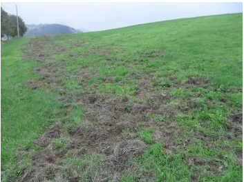 #Dannidafauna, in un bando regionale le risorse per prevenirli. Il bando intende finanziare investimenti materiali finalizzati a mitigare gli impatti della fauna selvatica autoctona, anche in aree non oggetto di specifici vincoli ➡️ bit.ly/dannifauna
