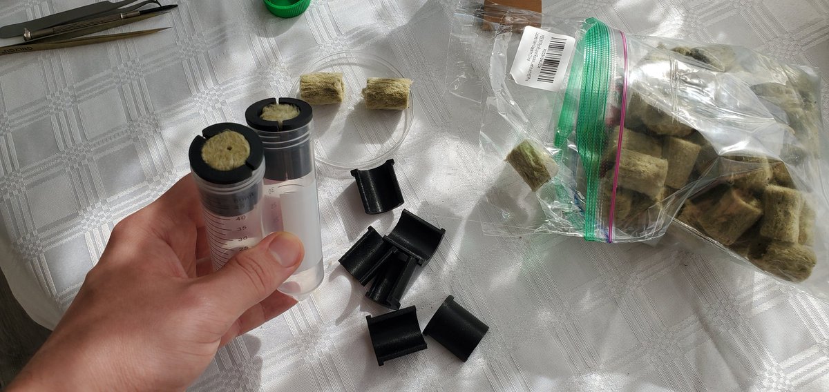 Sebastian S. Cocioba🪄🌷 tweet media