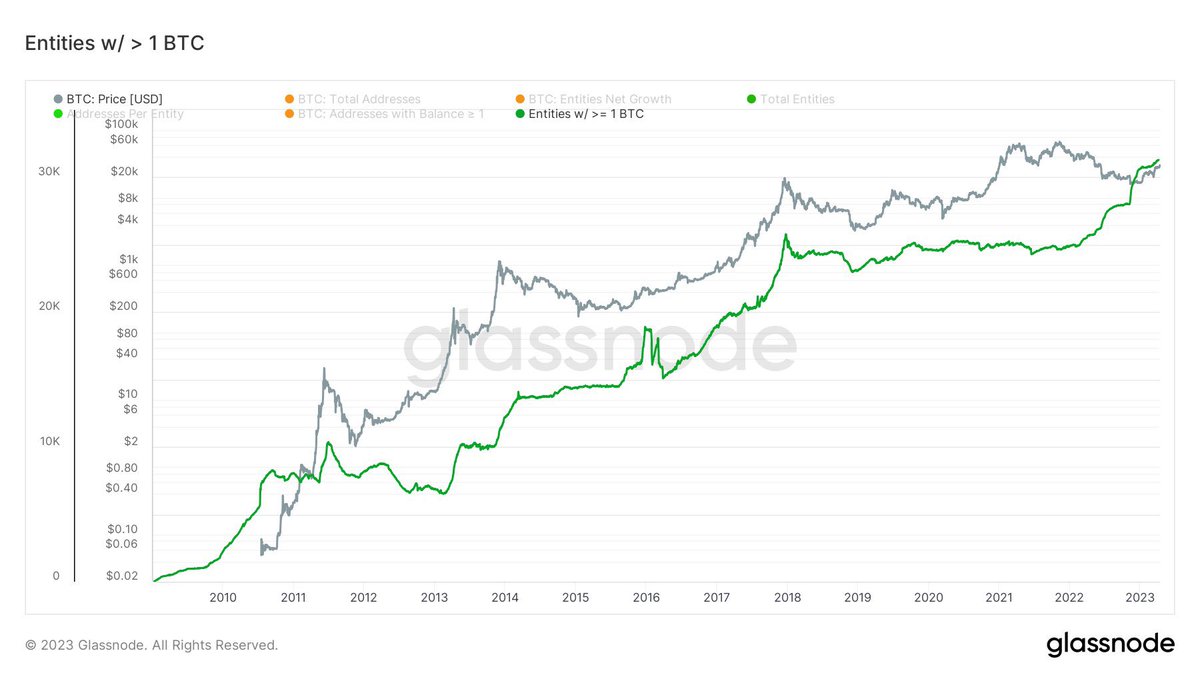 Austin A Hilton tweet media