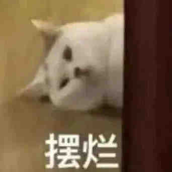 quincyyu4ever's tweet photo. 允许自己做自己，也允许别人做别人 https://t.co/KU2WZPYEWh