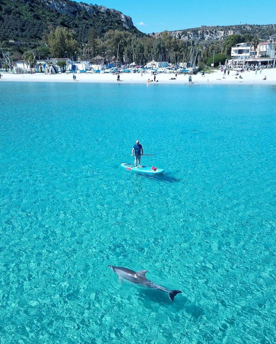 ruggierofilann4's tweet photo. SENZA PAROLE. LA SARDEGNA. https://t.co/aPc7fL0OMD