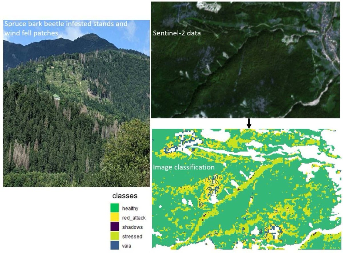 Remote Sensing MDPI tweet media