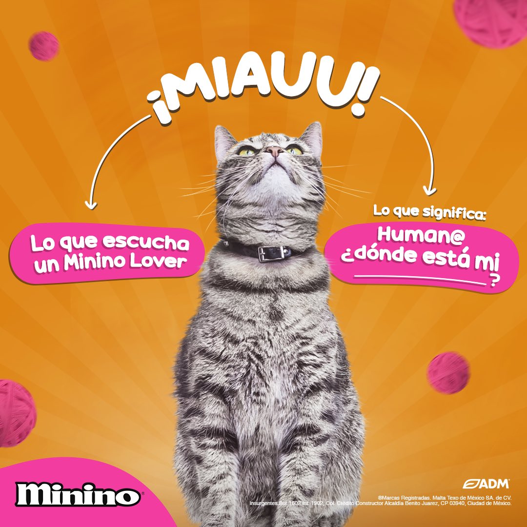 ¡Logramos descifrar el MIAU de tu michi! Completa la frase y cuéntanos qué te pediría 😼🧡

No olvides que puedes encontrar en tu supermercado favorito todos nuestros productos 🛒