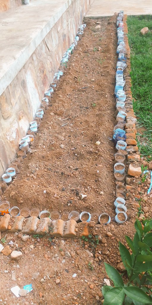 musanajeanluc's tweet photo. Planning to plant more trees (fruits and beautification trees) through recycling the plastic bottle! Ikibazo gikomeye nabajura basigaye biba buri kintu!!! @Rwandapolice mudufashe abajura baratuzengereje peee! #HomeAdventure https://t.co/uO7y52mDA0