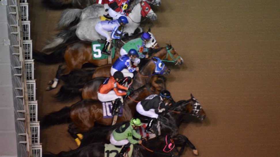 Texas Thoroughbred tweet media