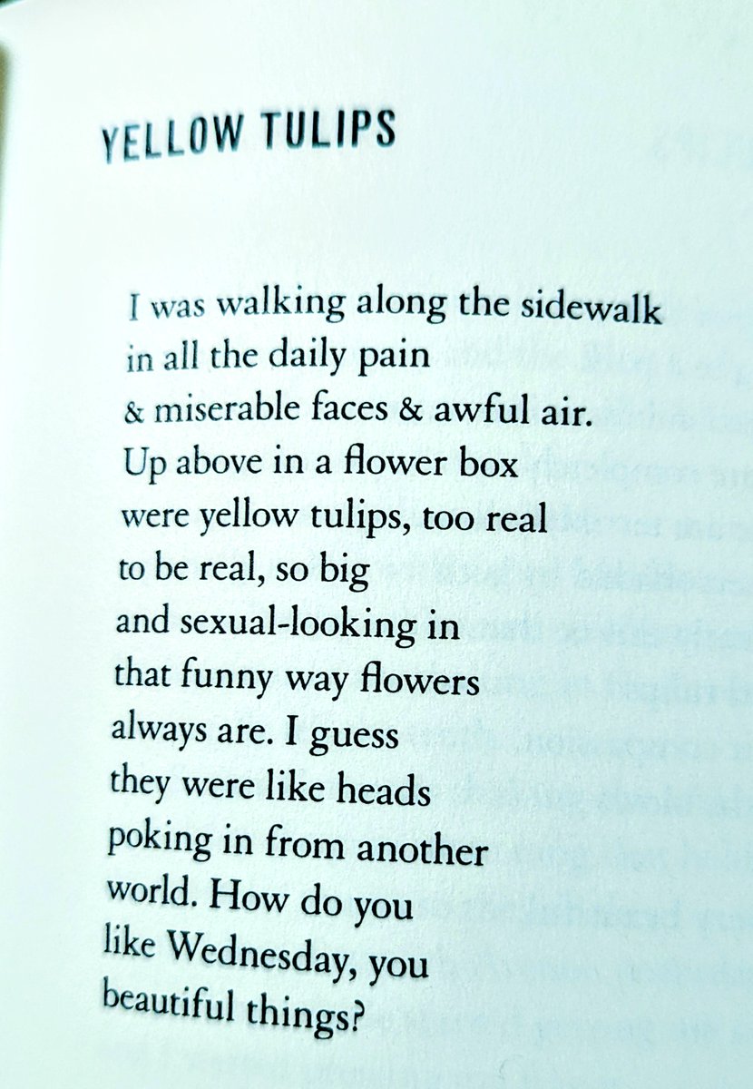 Powell_DA's tweet photo. It's @EileenMyles rocking my world this morning, moving from the world of daily pain to the pleasure center a flower's head provides, "so big and sexual-looking in that funny way flowers always are." https://t.co/ReuuuVDyg6
