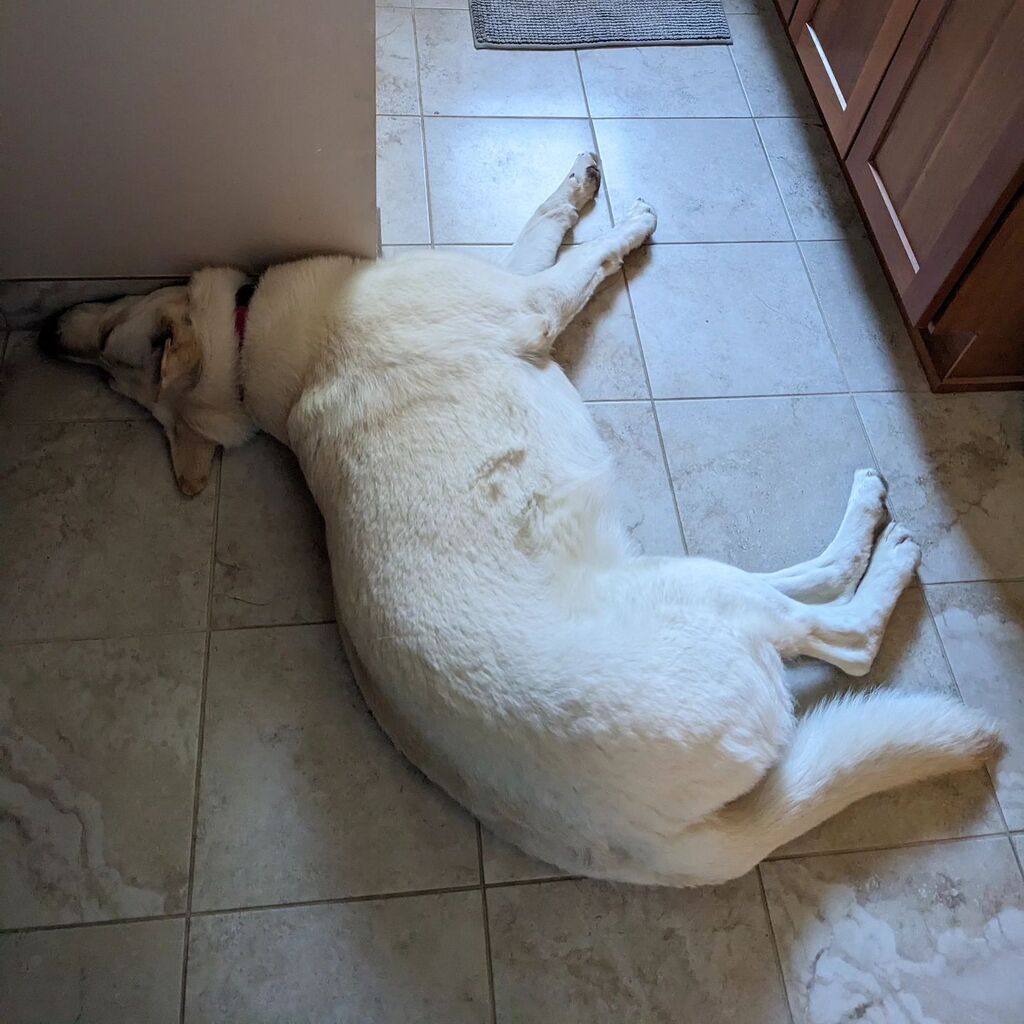 Mark Hayward tweet media