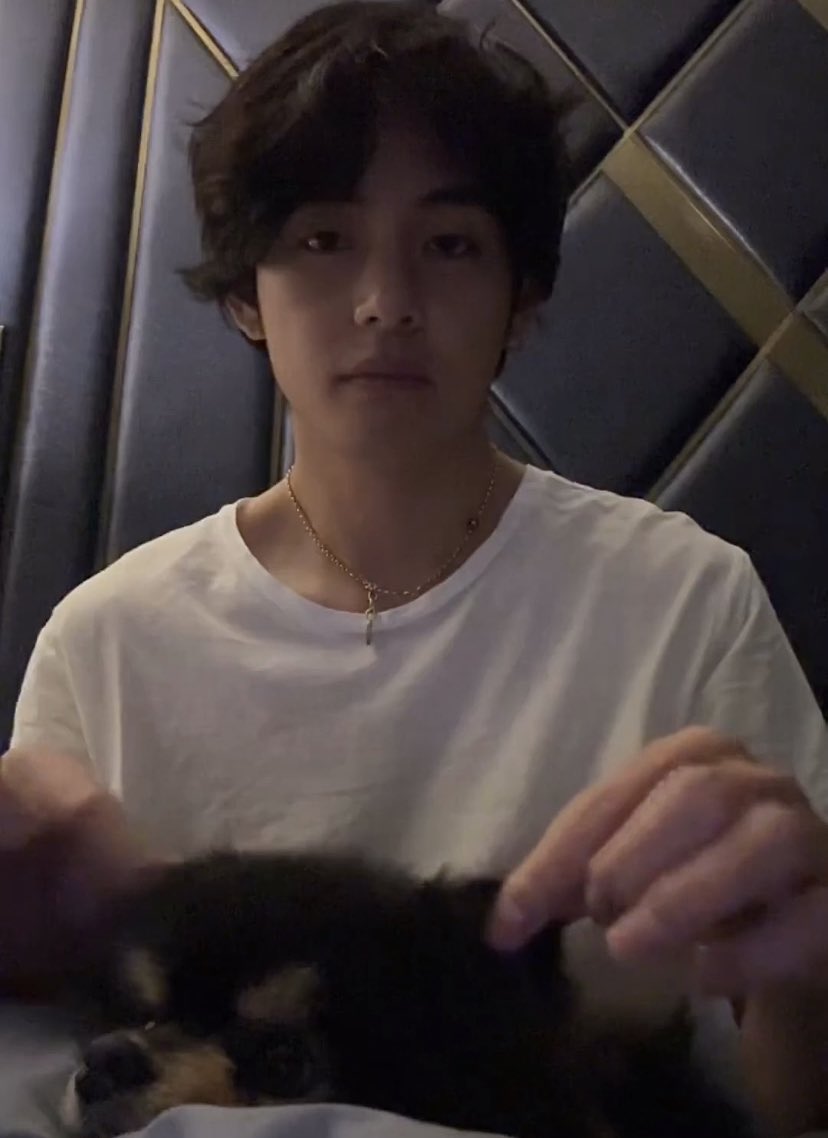 fire_fist___'s tweet photo. Taetae is such a baby🐥(Babysitting Yeontan😂) Looking so cute together...Borahae💜#BTSV #KimTaehyung #Yeontan #btsvlive #Weverse_LIVE https://t.co/SIkjQPNBQX
