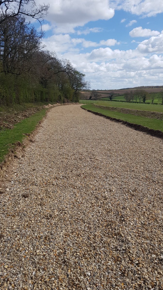 Kevin Holland tweet media