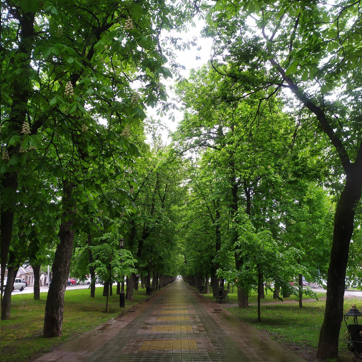 Выложите фото какого-нибудь пейзажа с места, где вы были, где главное требование, чтобы вы НЕ появлялись в нем, только изображение без описания...

решила все 4 времени года показать)