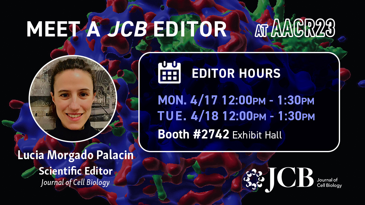 JCellBiol's tweet photo. Attending #AACR23 in Orlando and interested in discussing your work with a JCB Editor? Make sure to chat with our Scientific Editor Lucia Morgado Palacin @lmorgadopalacin! 
🗓️ Monday 4/17 12pm-1:30 pm
🗓️ Tuesday 4/18, 12pm-1:30pm
Visit Our @RockUPress booth #2742 anytime! https://t.co/PPARKKbpe4