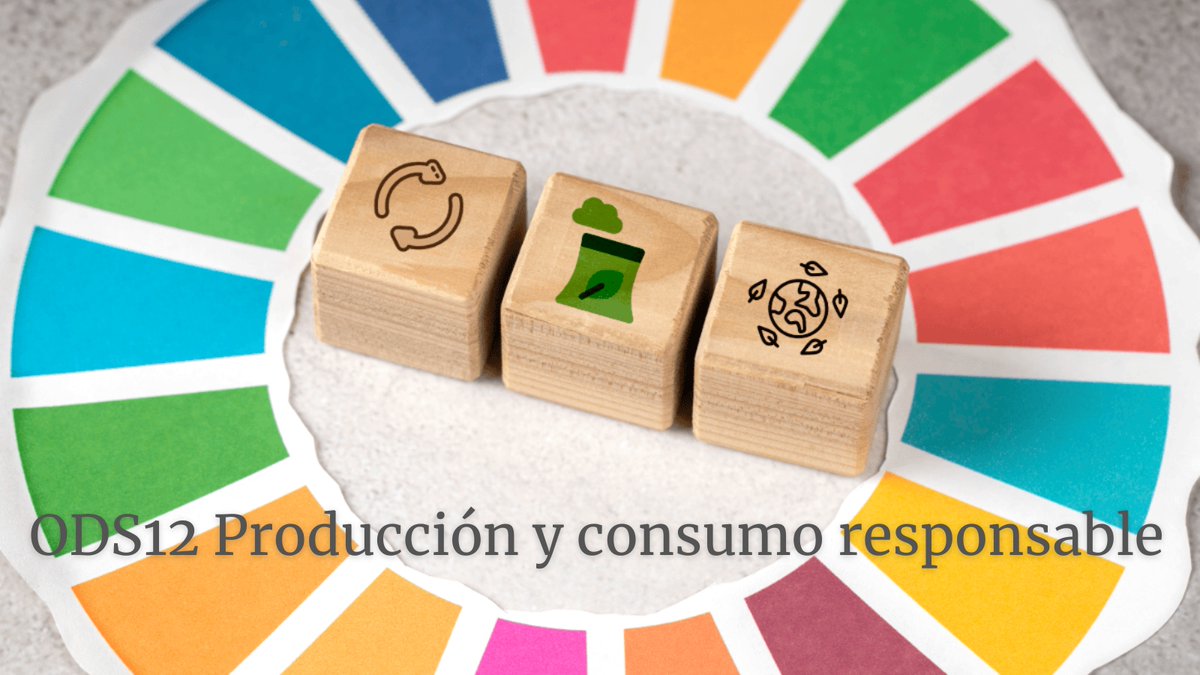 BareaZango's tweet photo. ♻️ODS12: "Promover estilos de vida sostenibles y hacer un uso eficiente de los recursos son claves para producir y consumir sosteniblemente." @luzsolidariafun
🌱https://t.co/7sxWEuOIDh
#ods12 #produccion #consumo #sostenibilidad #transicion #onu #consumoresponsable #bareazango https://t.co/lDyTsnLvVB