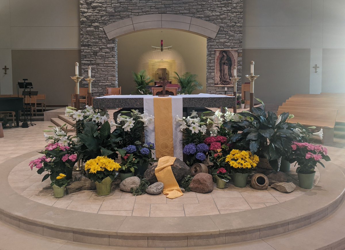 StPetersMendota's tweet photo. Our Environment Team did it again!  They created a solemn, prayerful worship space during the season of Lent and have now helped us all feel the joy of the Easter season with the beautiful flowers throughout the church.  Thank you for all you do! https://t.co/vI3UKNAW6i