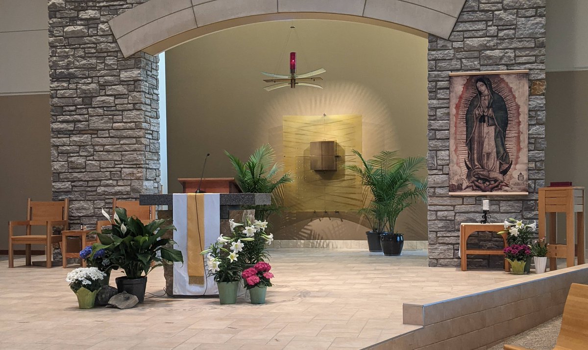 StPetersMendota's tweet photo. Our Environment Team did it again!  They created a solemn, prayerful worship space during the season of Lent and have now helped us all feel the joy of the Easter season with the beautiful flowers throughout the church.  Thank you for all you do! https://t.co/vI3UKNAW6i