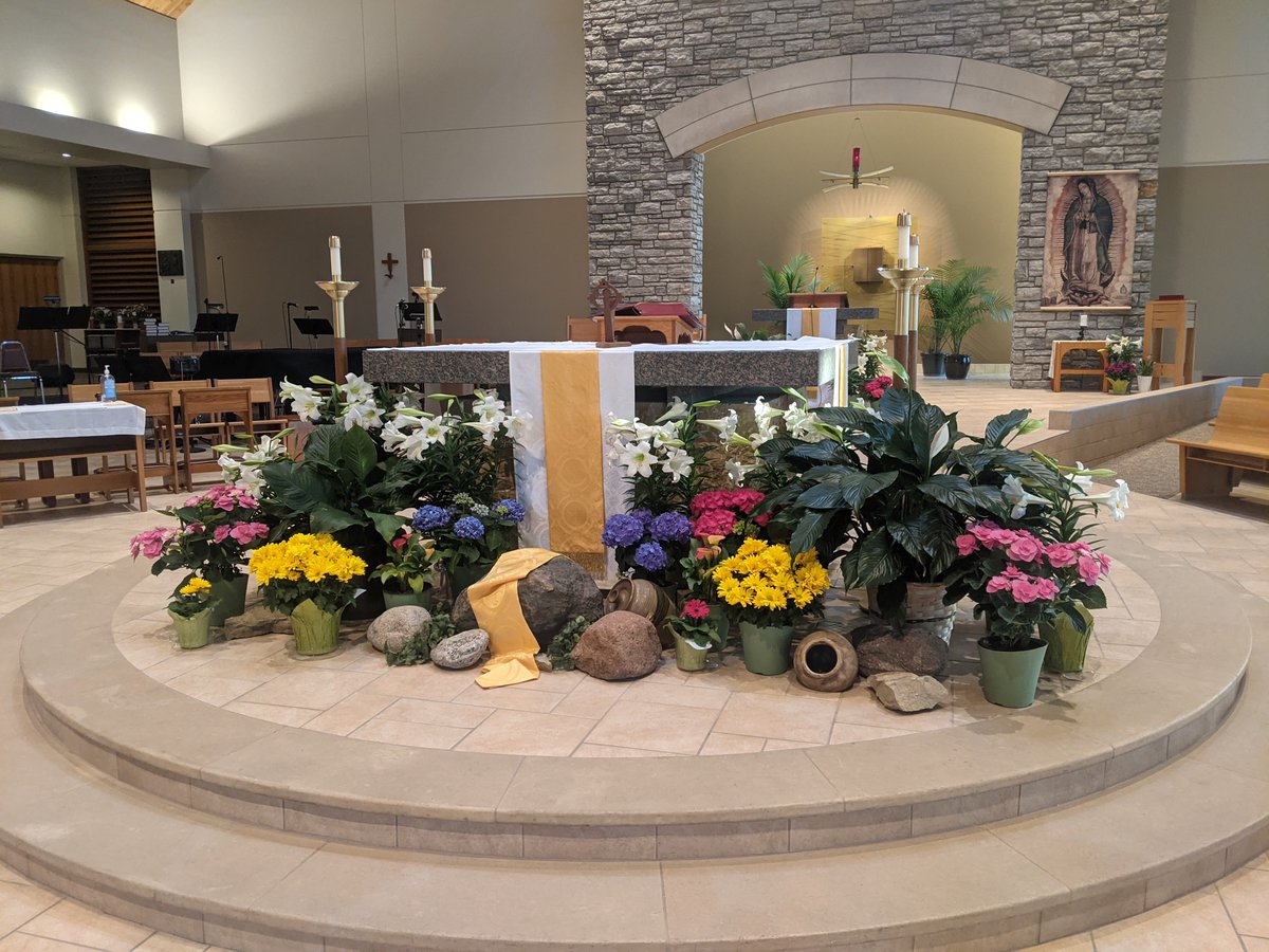 StPetersMendota's tweet photo. Our Environment Team did it again!  They created a solemn, prayerful worship space during the season of Lent and have now helped us all feel the joy of the Easter season with the beautiful flowers throughout the church.  Thank you for all you do! https://t.co/vI3UKNAW6i
