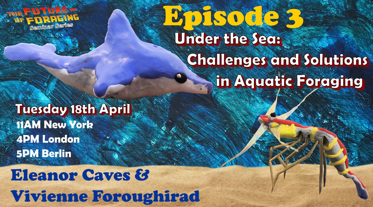 The third episode of season 3 is coming up on Tuesday! Join Eleanor Caves (@EleanorCaves) and Vivienne Foroughirad (<a href="/VForoughirad/">vforoughirad</a>) as they talk on challenges and solutions in aquatic foraging. More details here: future-of-foraging-seminars.github.io/episodes/ep3-3…