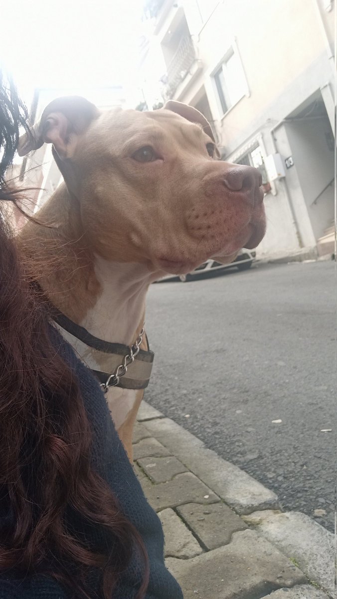 Komşu çocu rott mu kıs şu gelem baksana bi